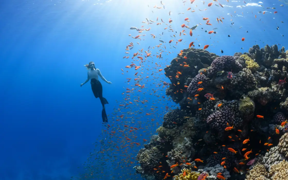 Diving in the Pemba Channel